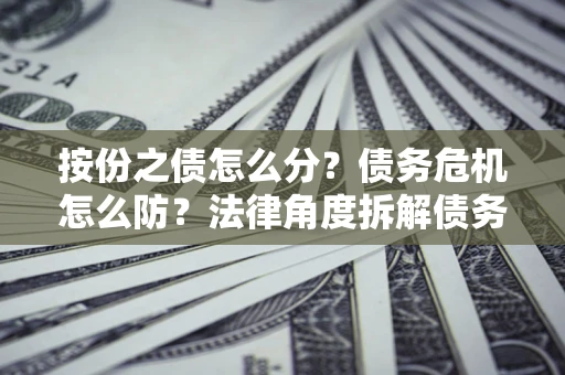 北京按份之债怎么分？债务危机怎么防？法律角度拆解债务分配与风险自保指南