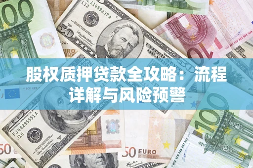 北京股权质押贷款全攻略：流程详解与风险预警