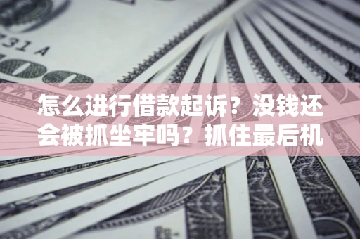 北京怎么进行借款起诉？没钱还会被抓坐牢吗？抓住最后机会！