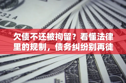 北京欠债不还被拘留？看懂法律里的规制，债务纠纷别再徒劳奔波