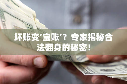 北京坏账变‘宝账’？专家揭秘合法翻身的秘密！