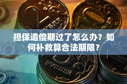 北京担保追偿期过了怎么办？如何补救算合法期限？