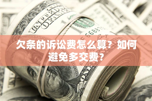 北京欠条的诉讼费怎么算？如何避免多交费？