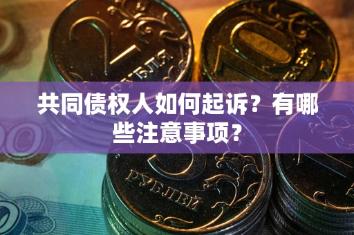 北京共同债权人如何起诉？有哪些注意事项？